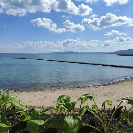 Oasis - Access 3* Balchik